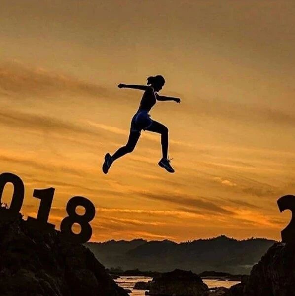 【湿地  豫见】往事已矣，前路可期——2018再见，2019你好