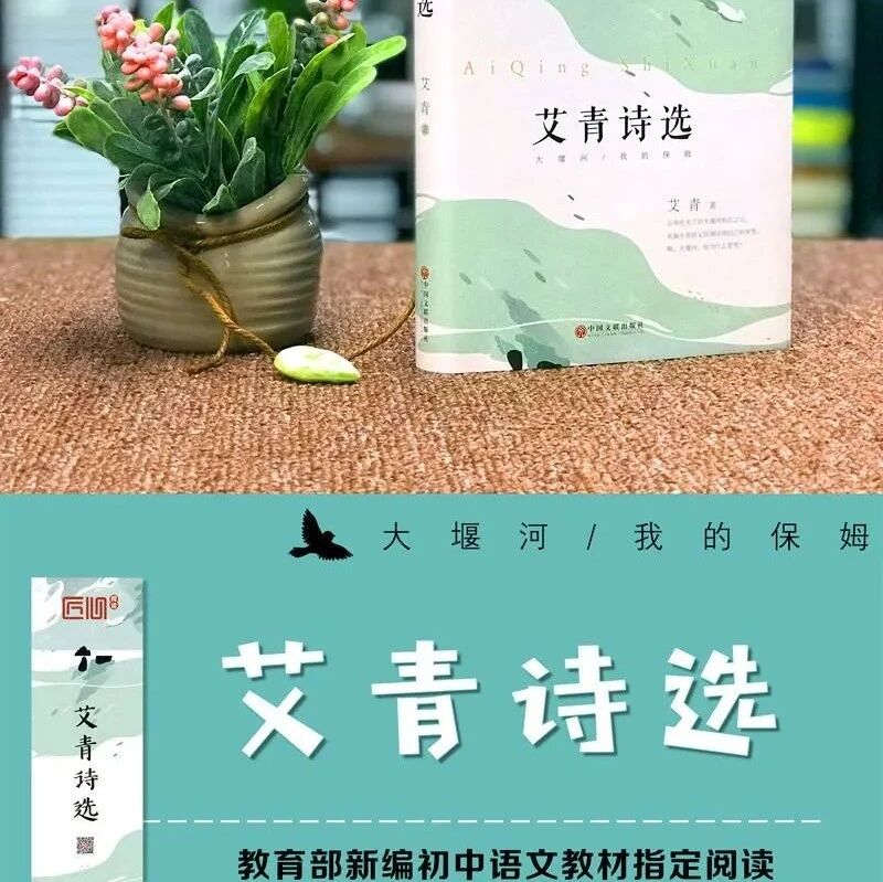 第3114季【狗尾草专栏】走近“大形象”