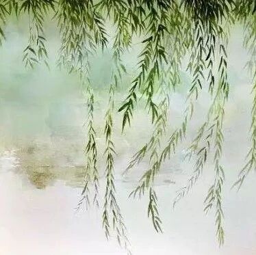 【李刚专栏】柳树底下忆青春