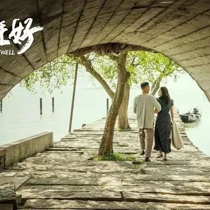 第1948季【湿地随笔】在标点符号中解析《都挺好》