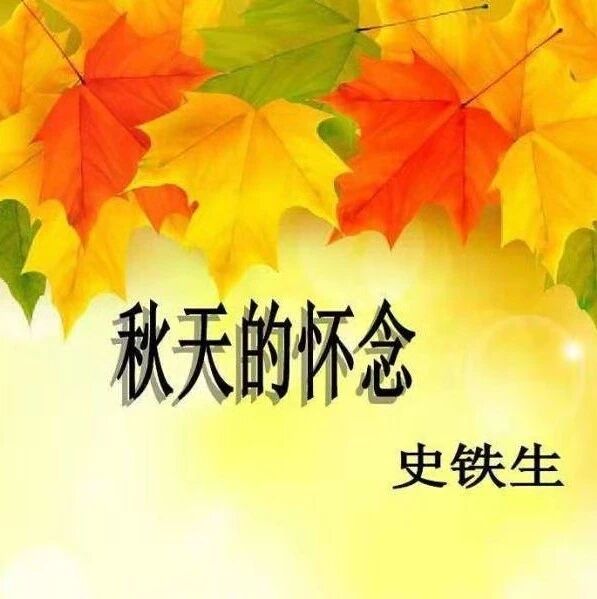 【海波专栏】 如果那爱还活着  --《秋天的怀念》教学实录
