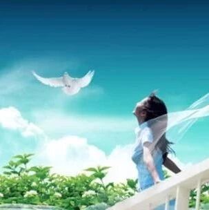 【湿地豫见】江东云：如果没有遇见您