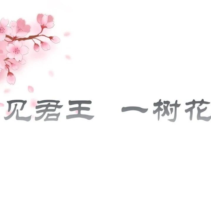 【爱林专栏】张爱林：遇见君王，一树花开