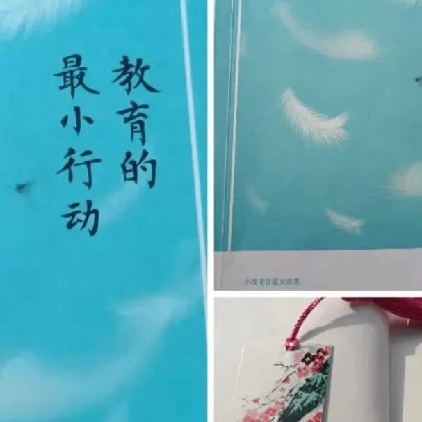 第2969季【秋备专栏】波心澄静，以爱灌注——读陈海波《教育的最小行动》