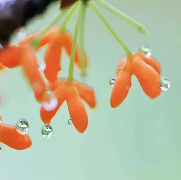 【山海凿文】 从学生的阅读期待选择小说教学内容 ——以《我的叔叔于勒》教学为例