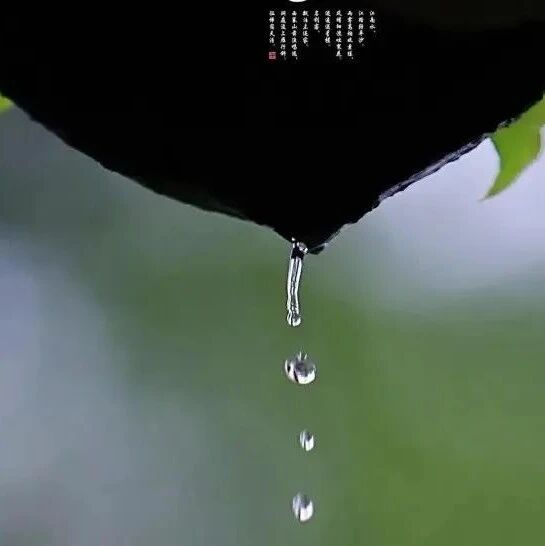 第3023季【秋备专栏】一蓑烟雨任平生——《卜算子·黄州定慧院寓居作》《卜算子·咏梅》整合教学设计