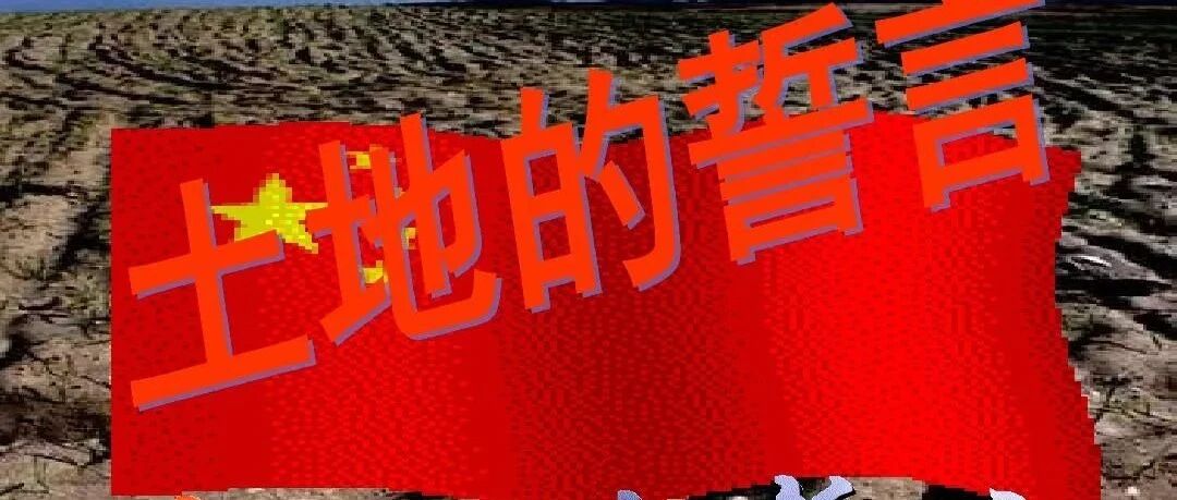 【青春语文·庆华专栏】聚焦一点拾级而上，明暗两线并驾齐行
——试析王君老师课例《土地的誓言》