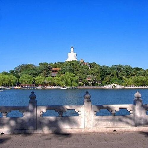 第2095季【湿地悦享】愿和你齐飞