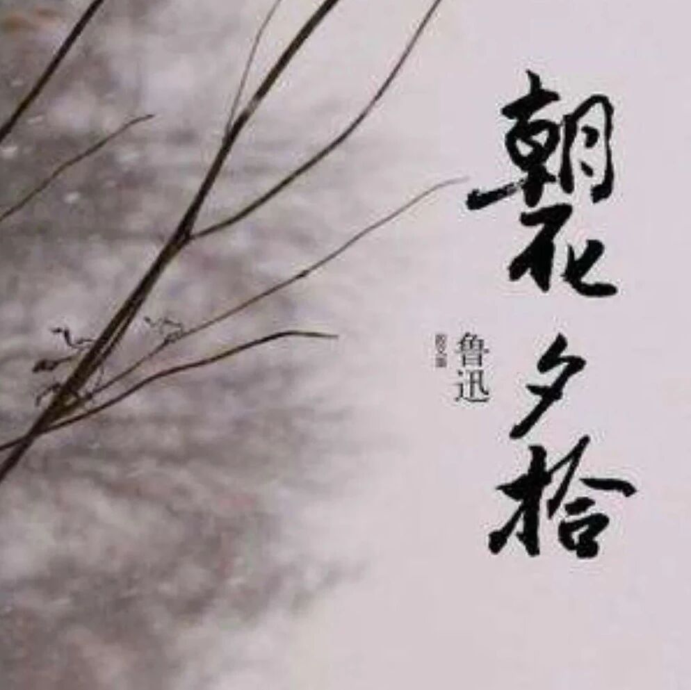【湿地课堂】刘英丽：亲近经典，走近鲁迅 ——《朝花夕拾》整本阅读指导 教学案例