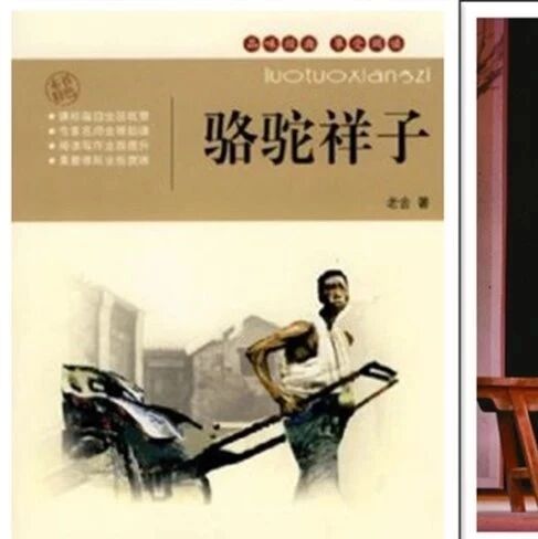 第1751季【湿地阅读】我这样上《骆驼祥子》