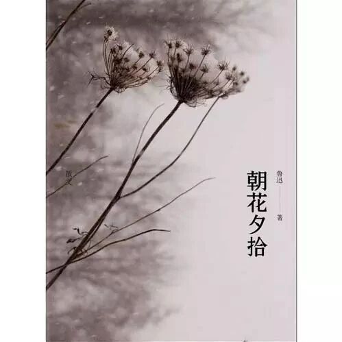 第1854季【湿地阅读】《朝花夕拾》分层设计，推进整本书阅读