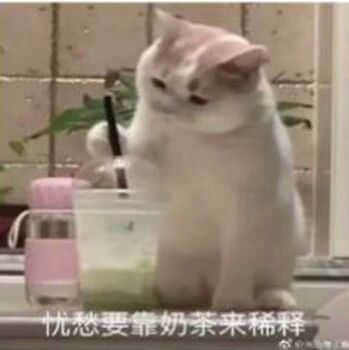 【山海凿文】表达要得体