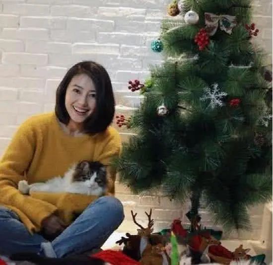 高圆圆秀出自家的豪宅，在家是一个猫女，客厅摆放了好多奖杯