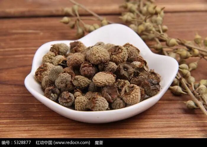 国医大师南征:诊治消渴肾病经验