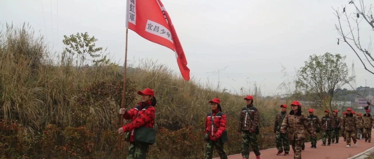 cover_image