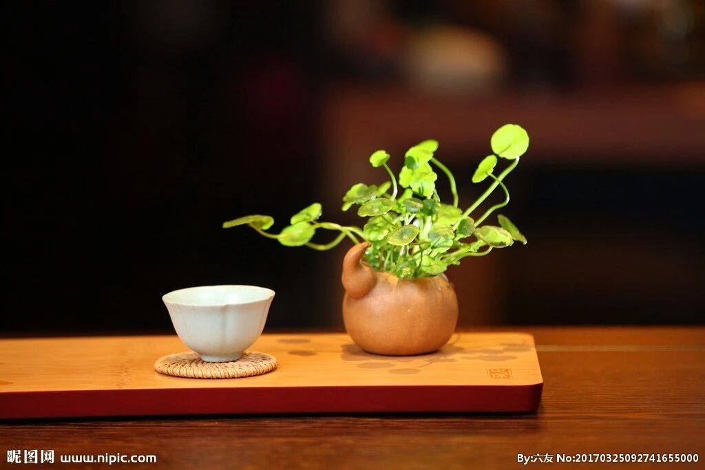 戏说康熙不懂茶，御茶难道也有假？