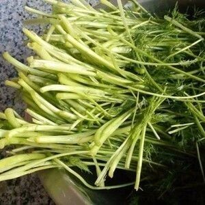 它是绿叶蔬菜第一名，三伏吃它，养阳驱寒，还是胃病克星！