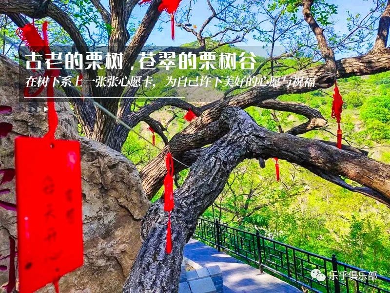 ★印象细图F1.jpg