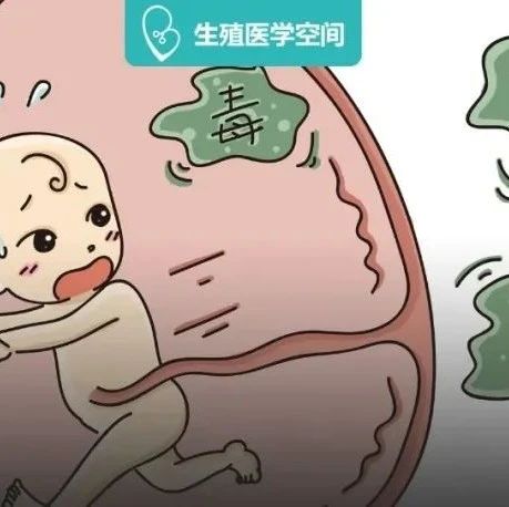 胚胎最怕这些事，怀孕期间不要做！