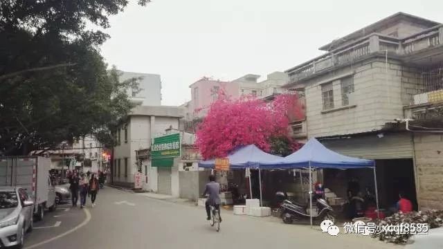 定了！华侨城一举拿下沙井旧改这个巨无霸。城市居民购小产权房征地补偿