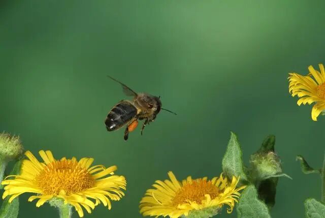 广州广州学市场营销专业比较好的中专学校