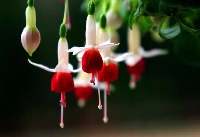 脾气，决定您的寿命！文章不长，但很受用，一定要看！