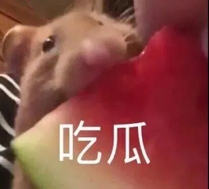 猥琐男竟对着我的袜子打飞机，万万没想到我有脚气！！！