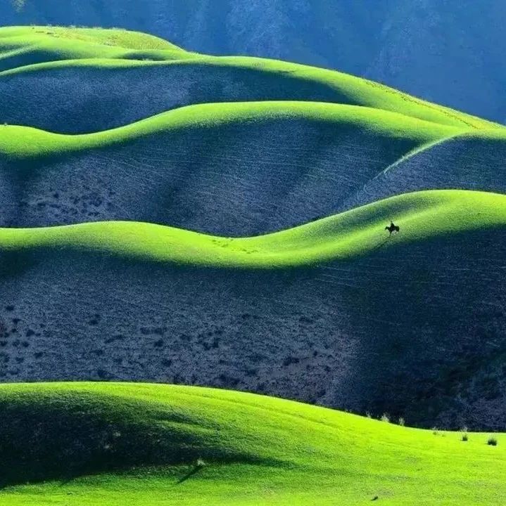 那么多草原，为何只有喀拉峻被《国家地理》称赞“中国最美”？