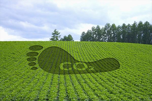 碳足迹公司 ISO 14067:2018温室气体产品碳足迹服务 - 产品合规性认证测试、国际验货检品公司 供应链质量控制机构