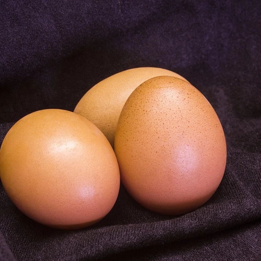 孩子蛋蛋不一样大，有问题吗？