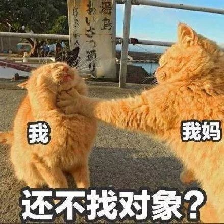 奇葩相亲大赏：“我的相亲对象是个植物人”……