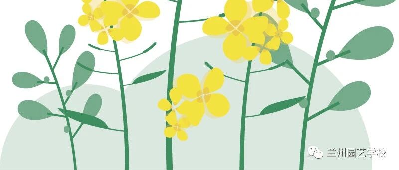 cover_image
