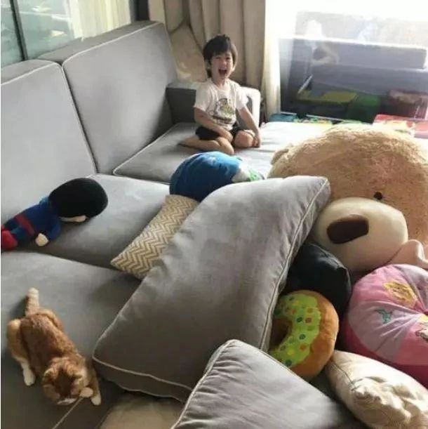林志颖忍无可忍,发微博吐槽家里面的三个儿子,就差拆屋子了