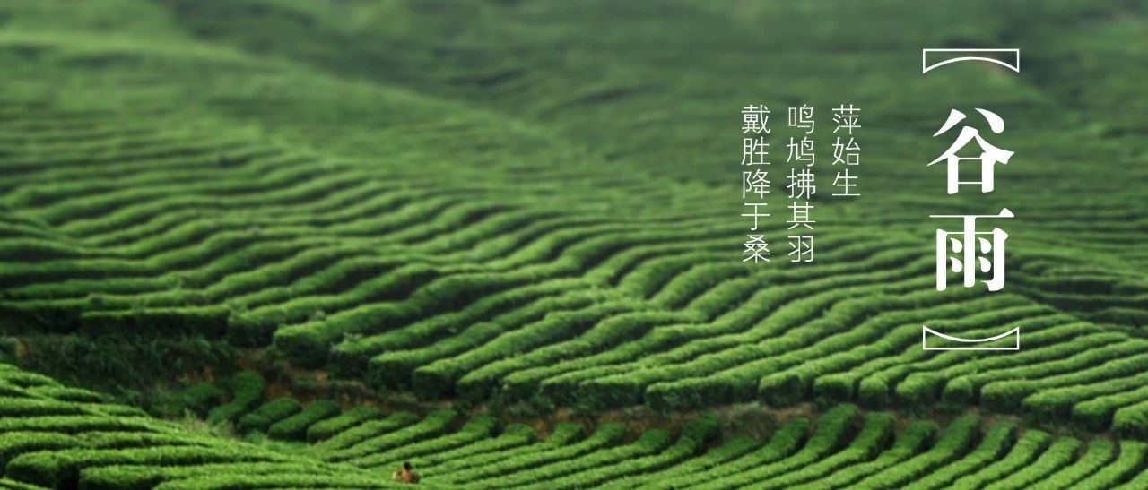 cover_image
