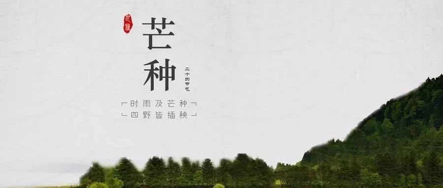 cover_image