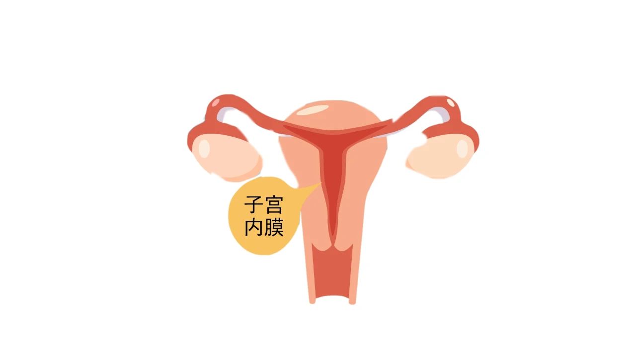 内膜厚度多少容易着床