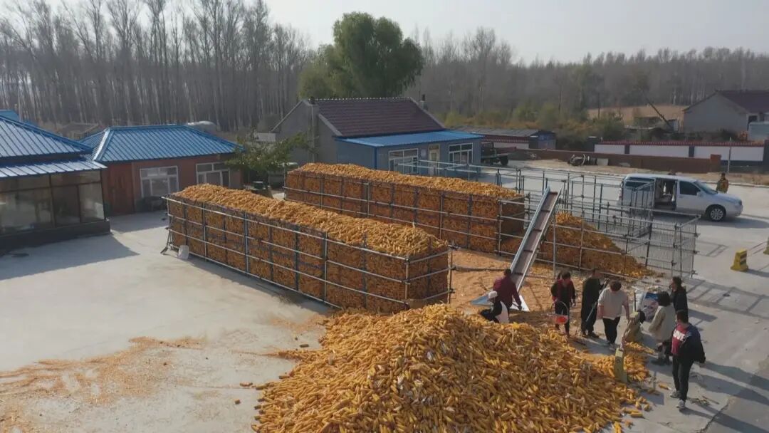 （为了大地丰收）科学储粮 让农民丰产更丰收 - 延边新闻网