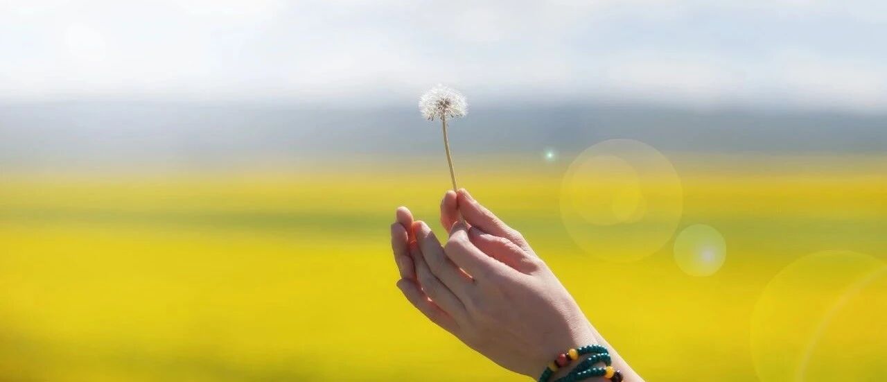 人与人之间，最长久的关系 ( 深度好文 )