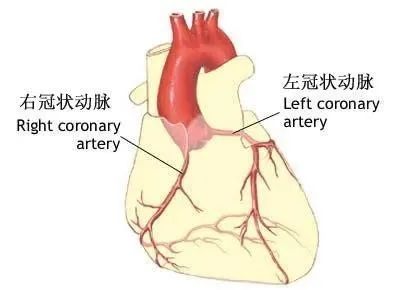 【厉害了】四步法快速定心梗部位和范围