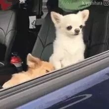 没错，这就是每天早起的你！