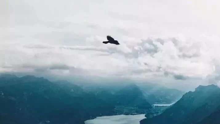 善良不是笨，忍让不是傻