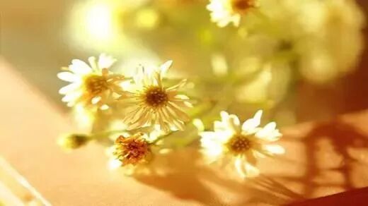 年  越来越近….