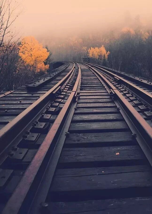 人生可以往回看，但别往回走。