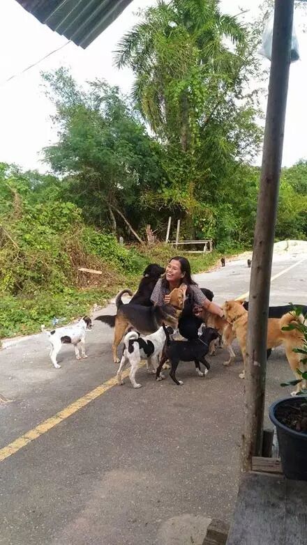 谢谢你喂我，没什么能报答你的 这些是我捡的，送给你，希望你不会嫌弃......