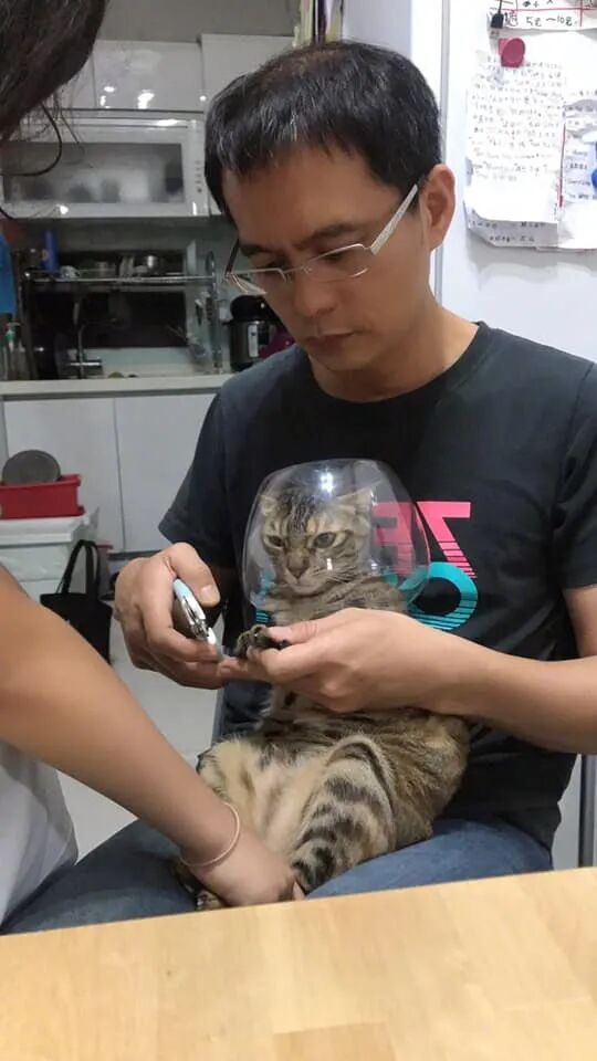 【爆笑】又一位P图过猛的网红？关掉美颜滤镜后的颜值意外流出？太吓人了！（组图） - 3
