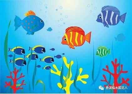 【思维导图“画”作文——我的动物朋友】魏依晨的《我家的小鱼》（十九）