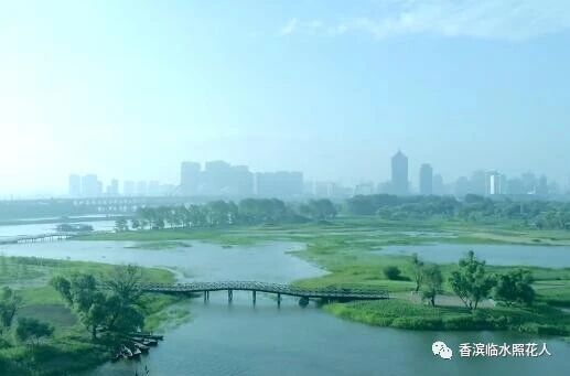 【思维导图画作文——这儿真美】三年级赵艺博《松花江真美》（十八）