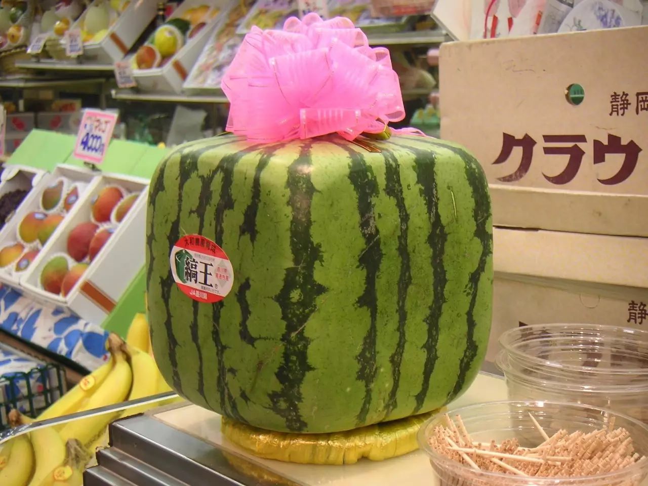 日本售卖天价方形西瓜,切开后笑岔气了!