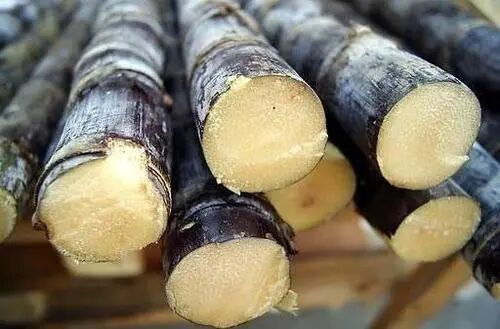 这些东西宁可扔了，也不要吃！告诉家里做饭的人！