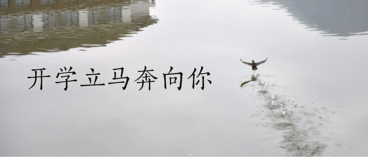 cover_image